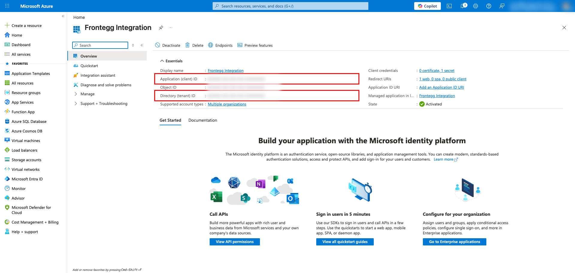 Application overview page with Application (client) ID and Directory (tenant) ID highlighted