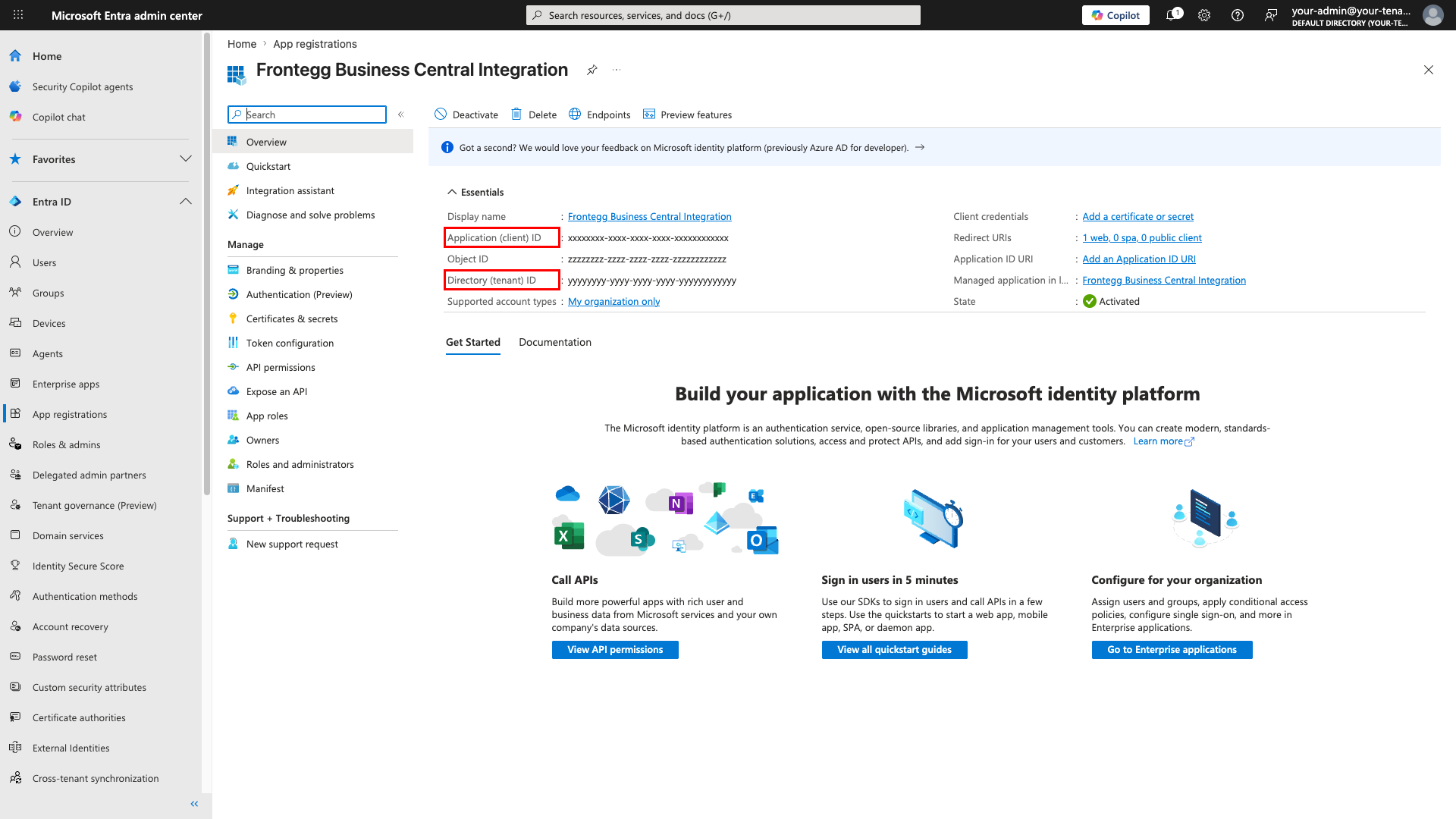 Application overview page with Application (client) ID and Directory (tenant) ID highlighted