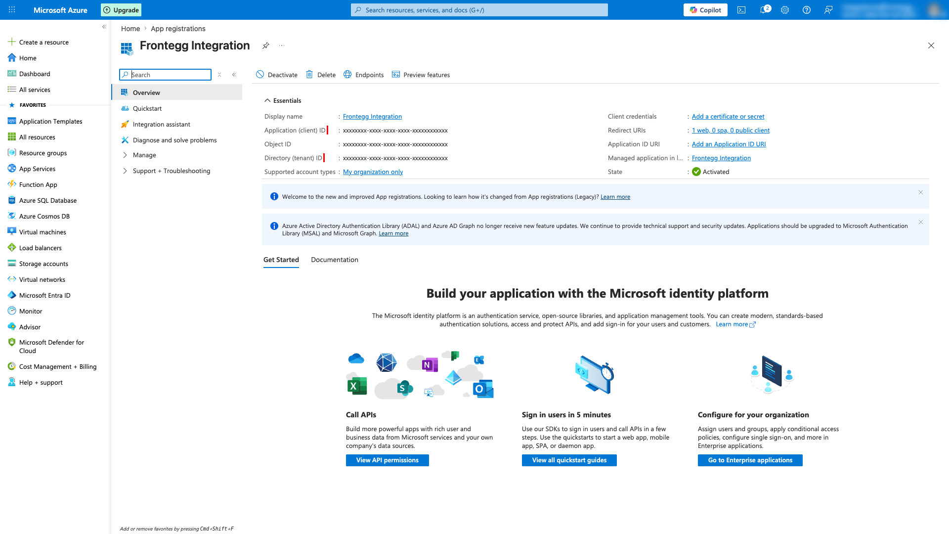 Application overview page with Application ID and Directory ID highlighted