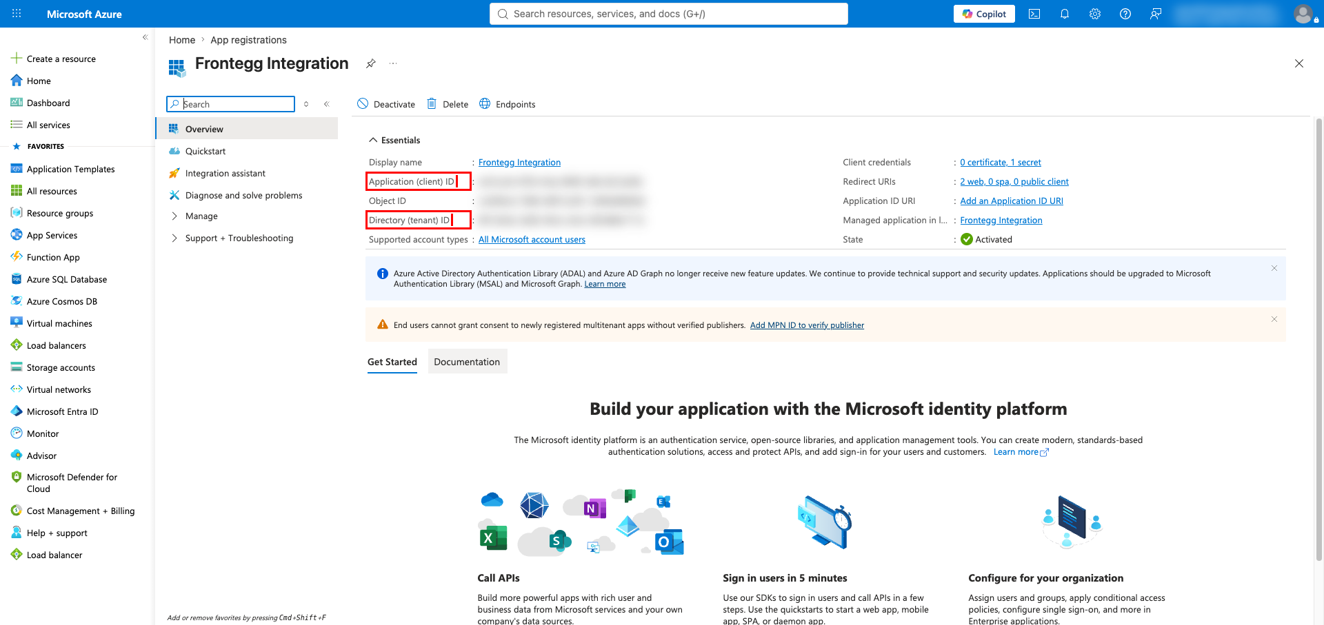 Application overview with client ID and tenant ID