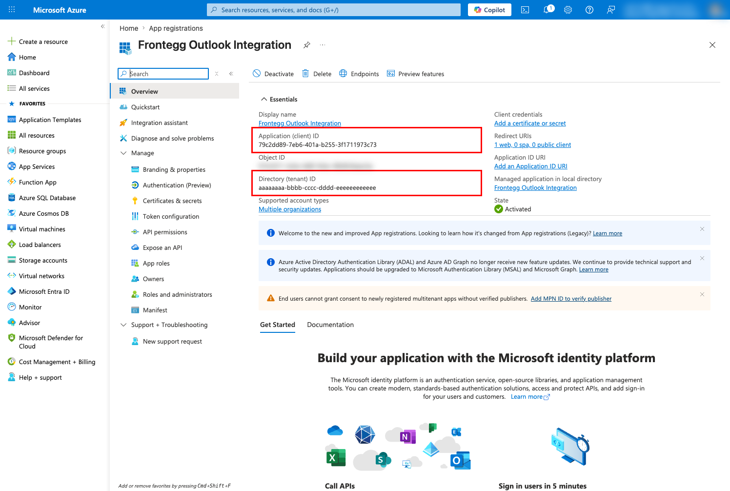 Application overview page with Application ID and Directory ID highlighted